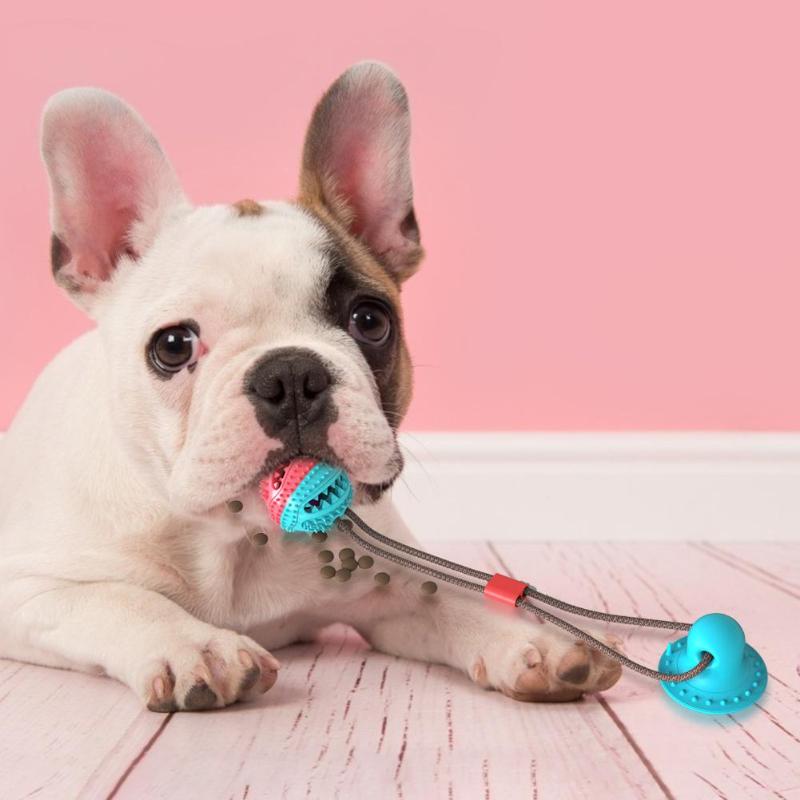 Juguetes de Mordida para Perros - Bola de Goma con Succion para Dientes y Muelas — imagen 3
