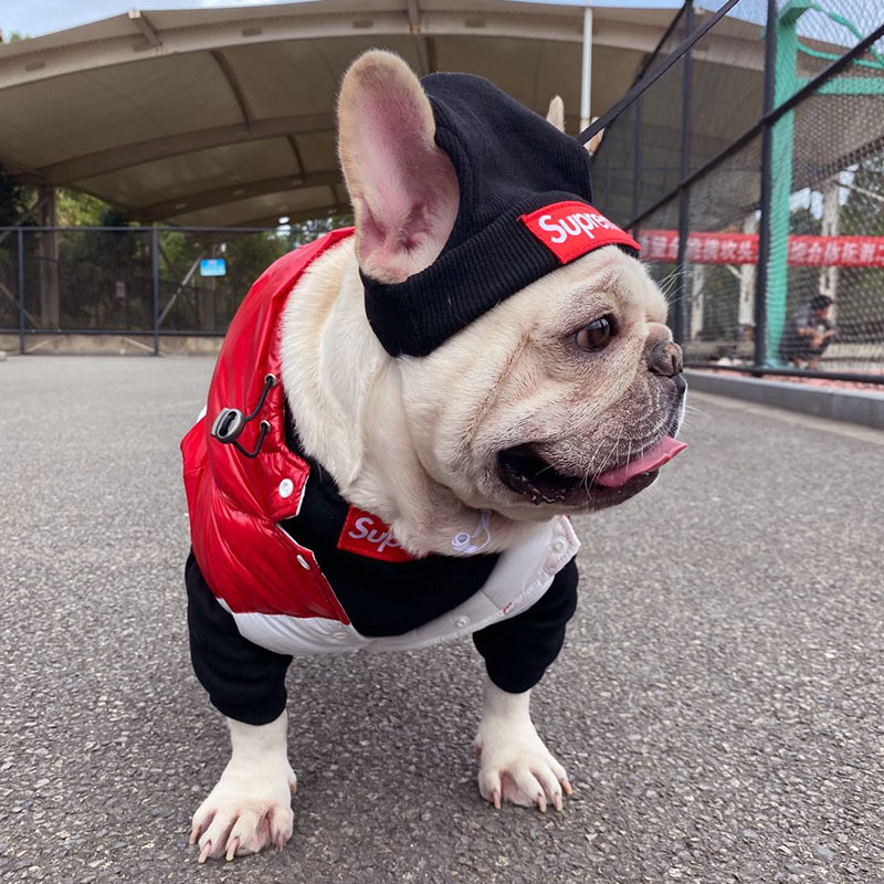 Pet Clothing Trendy Brand Street Dog Clothes Fighting Teddy Schnauzer Bottom Coat Hat Set — image 1