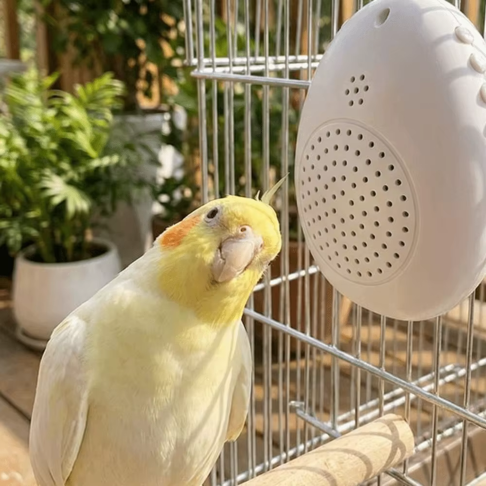 Máquina de Aprendizaje para Pájaros con Reproducción de Sonidos Interactivo — imagen 2