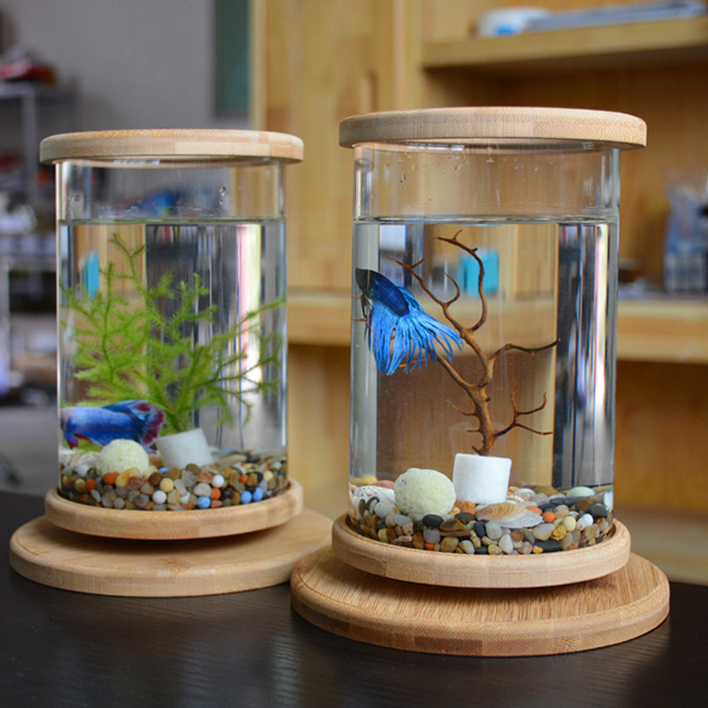 Acuario de Vidrio en Base de Bambú para Oficina Pequeña Decoración para Peces Mini — imagen 5