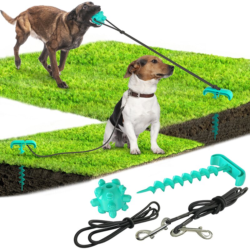 Outdoor tying dog pegs and pegs tying dog leash dog toy New pet products pet toys — image 7
