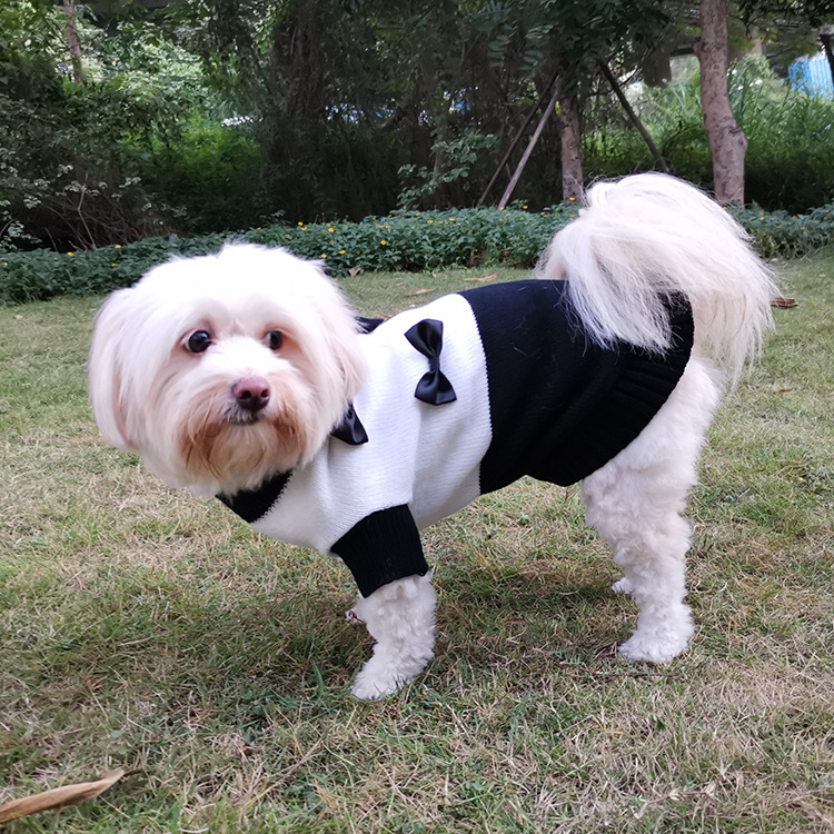 New Pet Clothes Black And White Bow Sweater Teddy Bear Pet Puppy Clothes — image 5