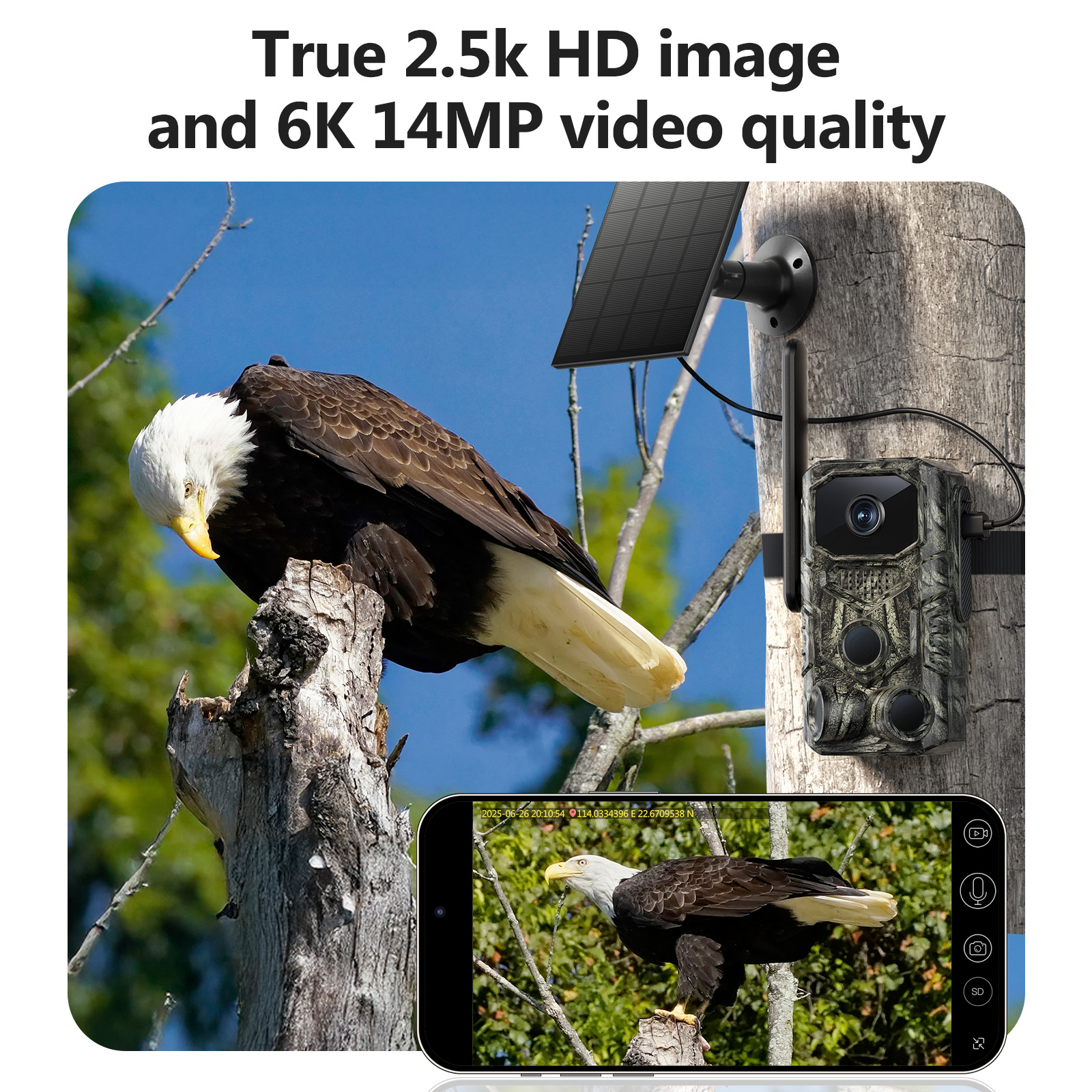 Cámara de Caza GPS 4G para Exteriores, Gran Angular 4MP, Camuflada, Monitoreo de Vida Silvestre y Venados, Cámara de Caza Solar — imagen 4