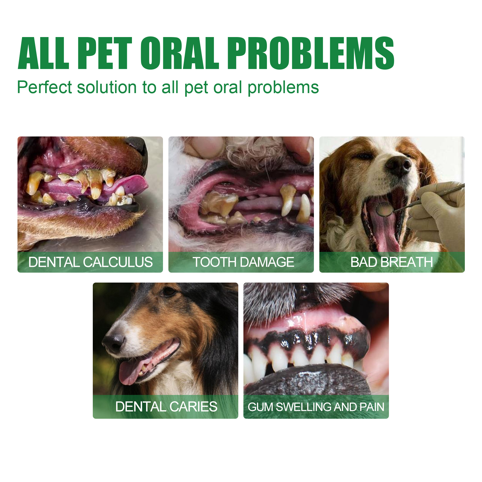 Yegbong Pet Tooth Deodorizer Spray, Cats And Dogs Universal Mouth Cleaning Breath Freshening Spray — image 6
