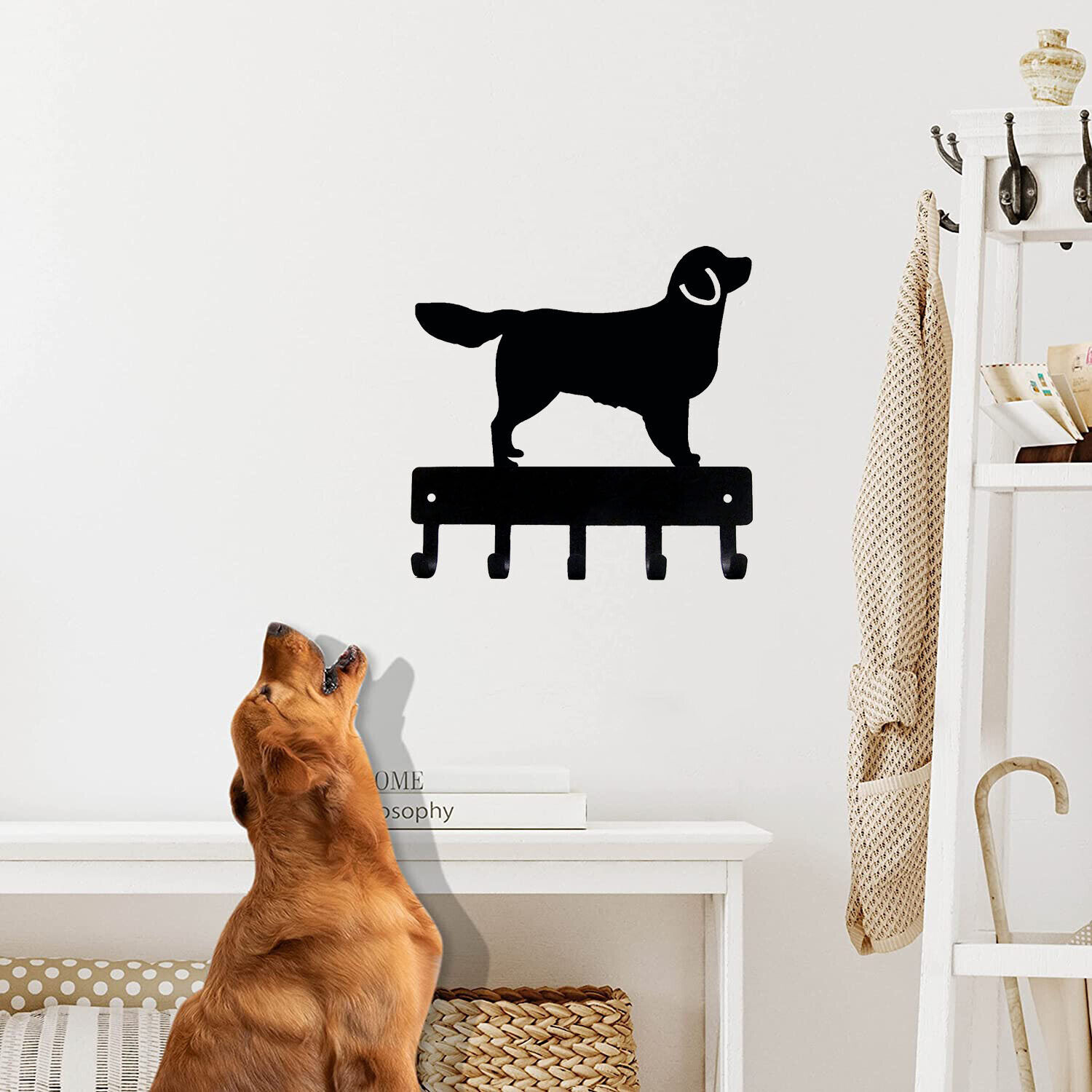 Callejones de Hierro Productos Metálicos Percha para Mascotas Caninas — imagen 2