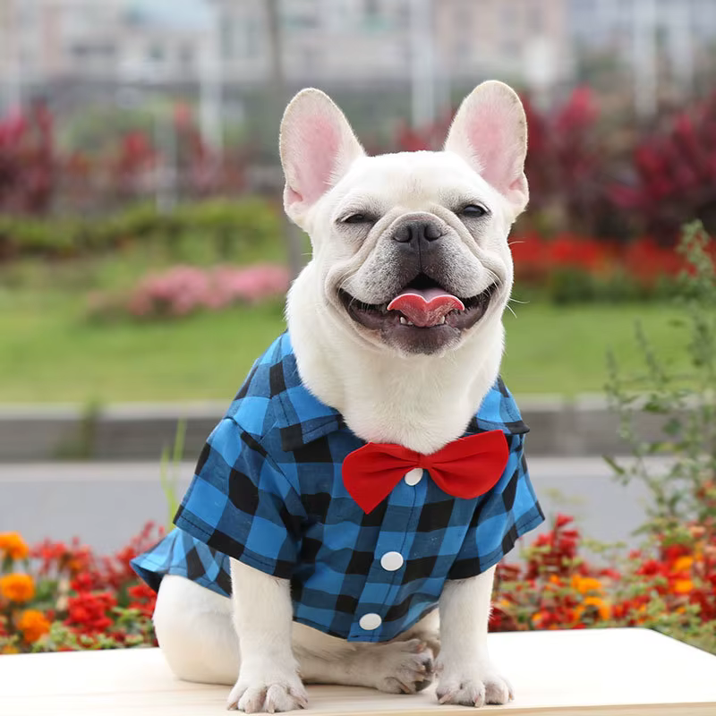 Pet Dog Clothes Plaid Shirt Suit Tie Gown Spring Summer Puppy Coat Teddy Bear Pomeranian Vest Small-Medium Dog Cat Pet Costume — image 4