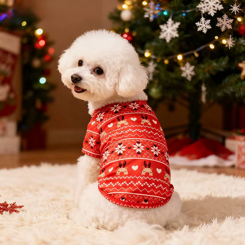 Disfraz de Navidad con Patrón de Papá Noel para Perros Grandes - Vestido Rojo y Negro con Escarcha y Frutas — imagen 4