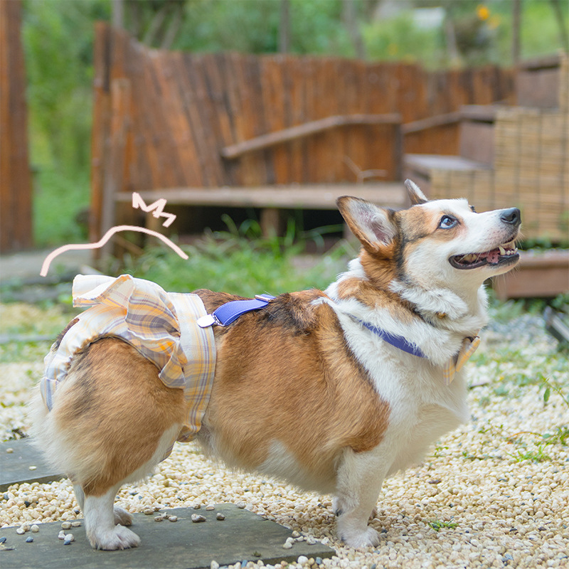 Short-Legged Captain Dog JK Campus Style Striped Skirt Bitch Aunt Pants Physiological Pants Pet Anti-Harassment Strap Corgi — image 2