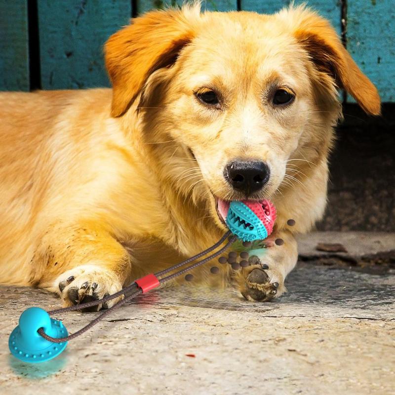 Juguetes de Mordida para Perros - Bola de Goma con Succion para Dientes y Muelas — imagen 2