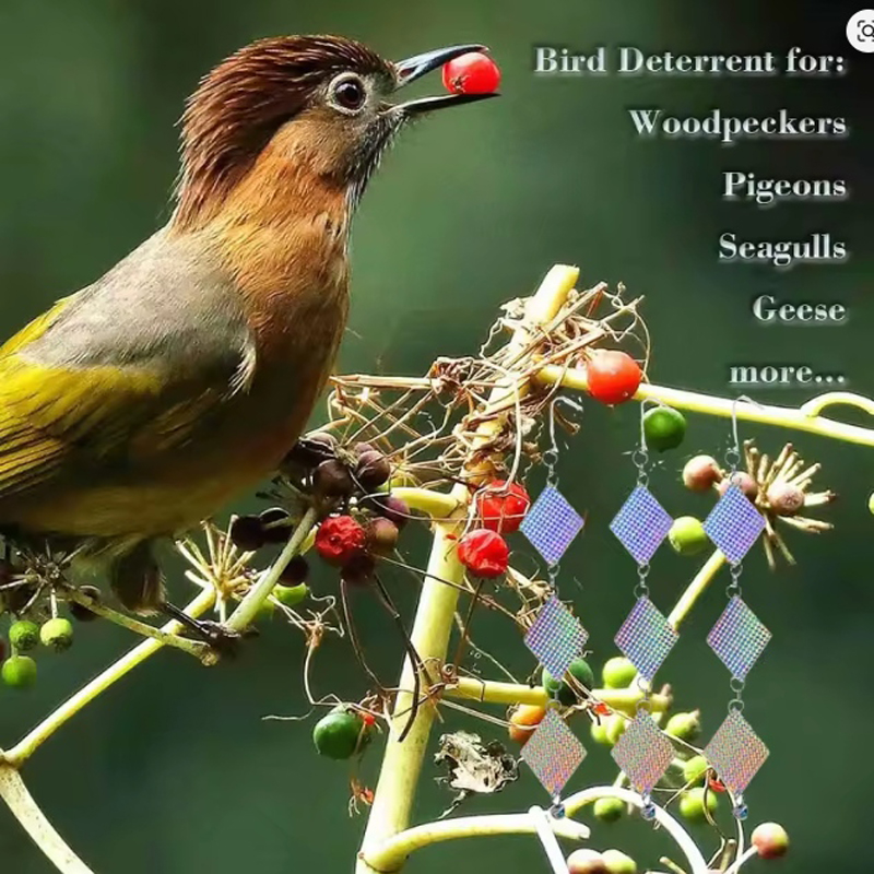 24 Piezas de Discos Reflectantes, Productos Repelentes de Aves, Repelente de Palomas, Protección Contra Cuervos, Repelente de Golondrinas, Reflectante de Doble Cara de Alta Intensidad, Rotación 360°, Material Reforzado — imagen 4