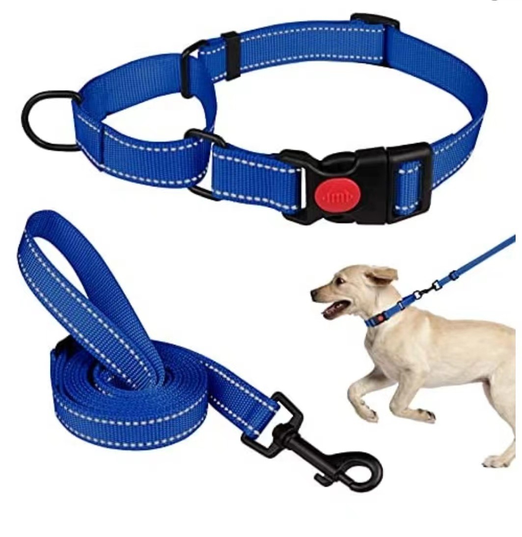 Collar de Perro - Conjunto de Collar y Correa Reflectante con Cuerda de Tensión — imagen 1