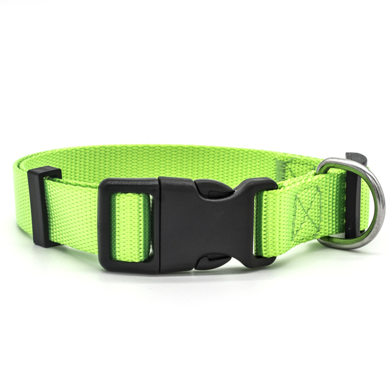 New Pet Collar — image 4