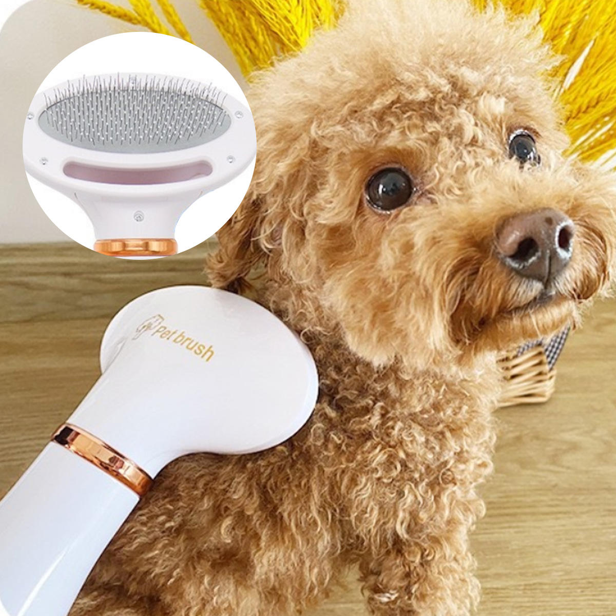 Combinado de Calor para Mascotas y Secador de Pelo para Perros y Gatos en Unico — imagen 4