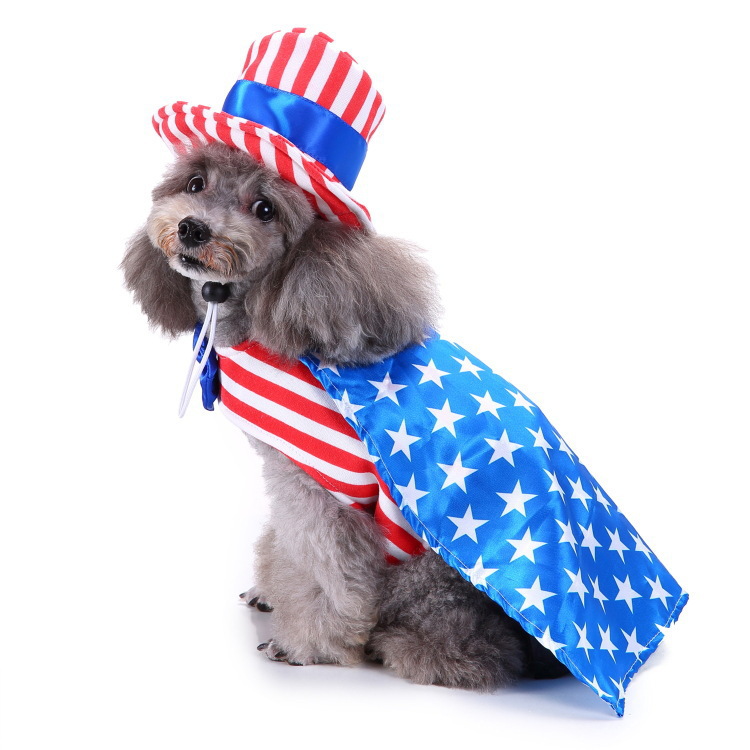 Dog Halloween costume with funny costumes — image 3