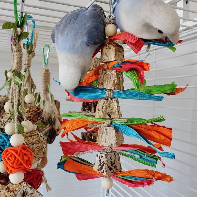 Juguetes para Loros Suministros de Mordida Piezas para Volateros — imagen 10