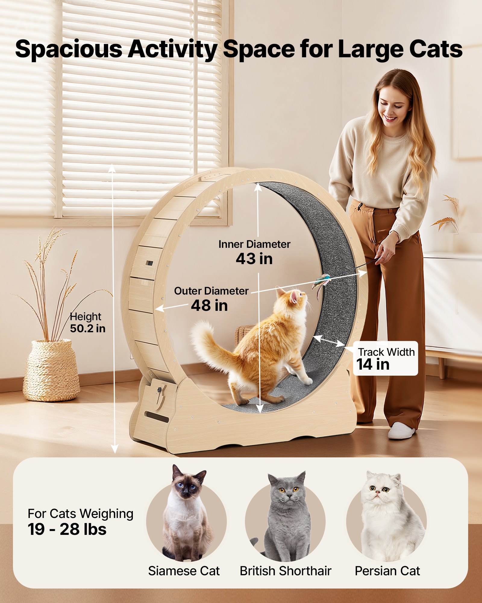 Cat Exercise Wheel, 48 In Wooden Cat Running Wheel For Indoor Cats Up To 28 Lbs, Cats Treadmill With Carpeted Runway & Locking Mechanism, Quiet Roller Kitten Sport Toys For Pets Fitness & Health — image 5