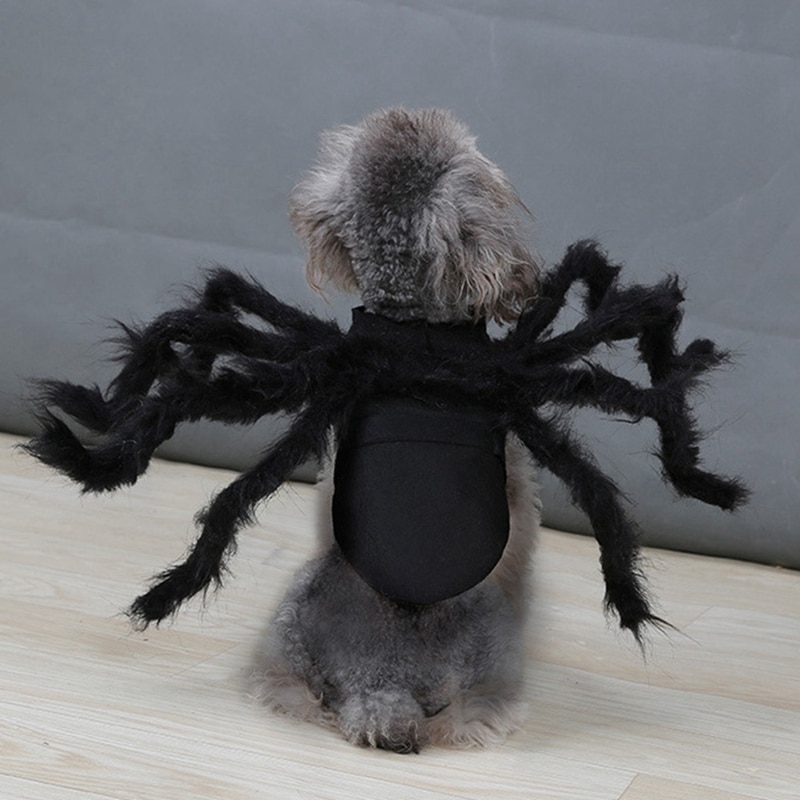 Ropa de Araña para Mascotas: Disfraz de Halloween para Perros y Gatos con Pelo Largo Negro — imagen 2