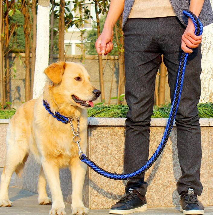 Double Strand Rope Large Dog Leashes Metal P Chain Buckle Contrast Colorful Pet Traction Rope Collar Set Firm 1.2m Length — image 1
