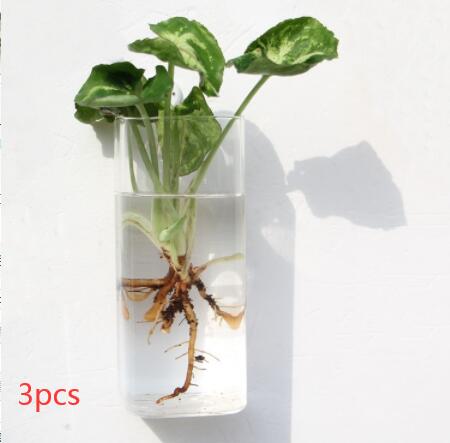 Vaso de Vidrio para Terrario Decorativo en Línea - Jardín Acuático para Hogar — imagen 62