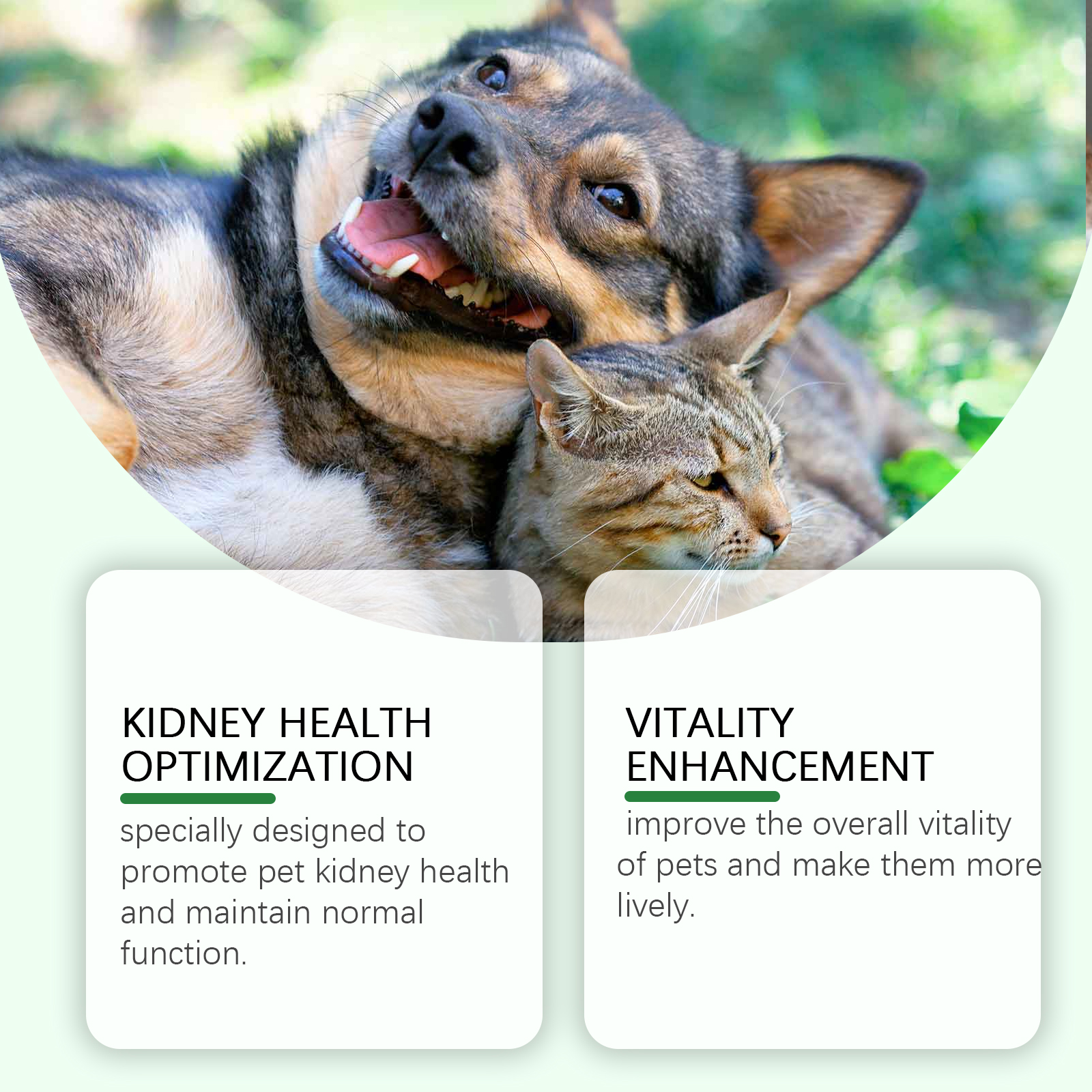 Pet Care Supplement To Enhance The Health Of Pets Gentle Ingredient Care Supplement — image 5