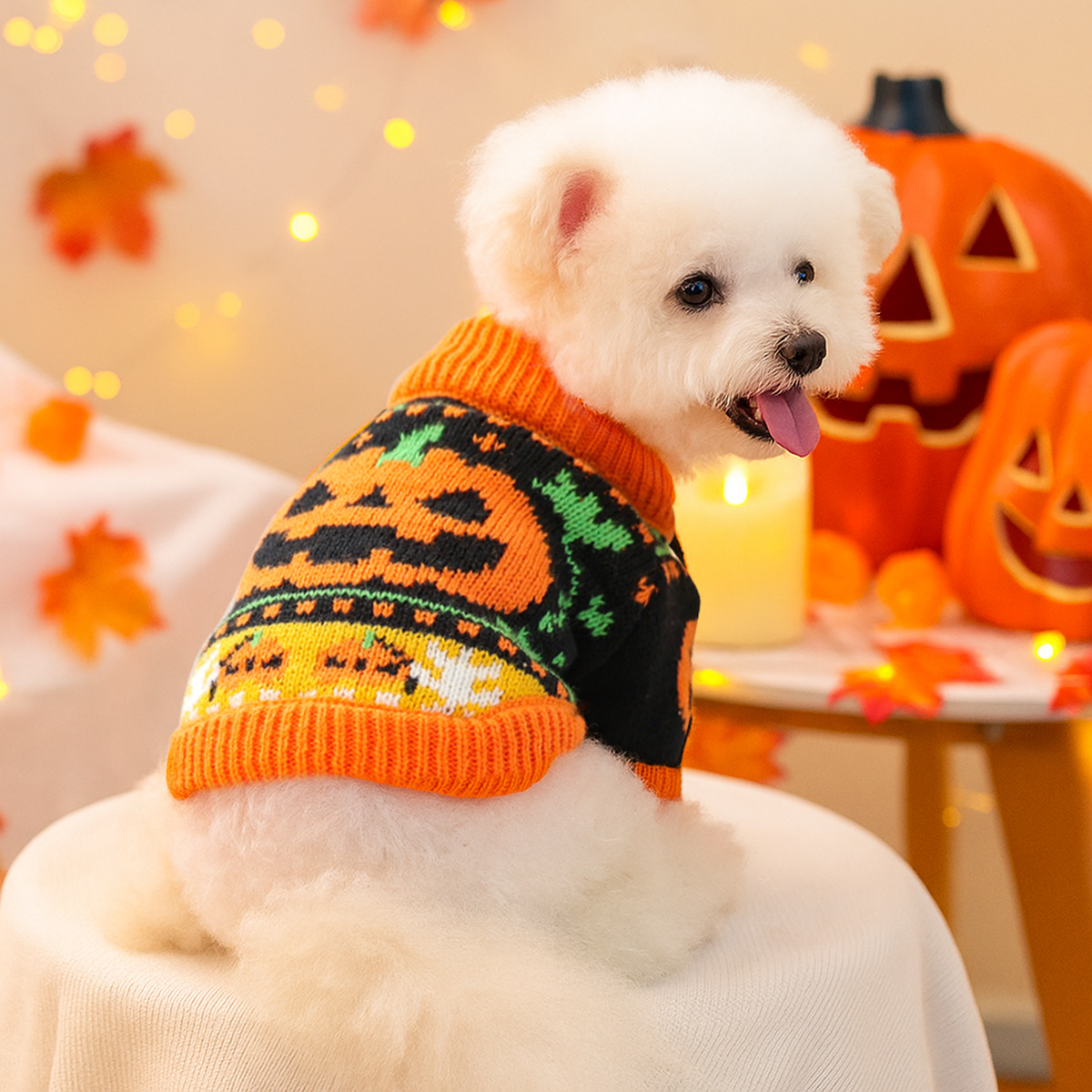 Pet Clothes Autumn Winter Cartoon Pumpkin Design Small Dog Puppy Pumpkin Halloween Sweater — image 1