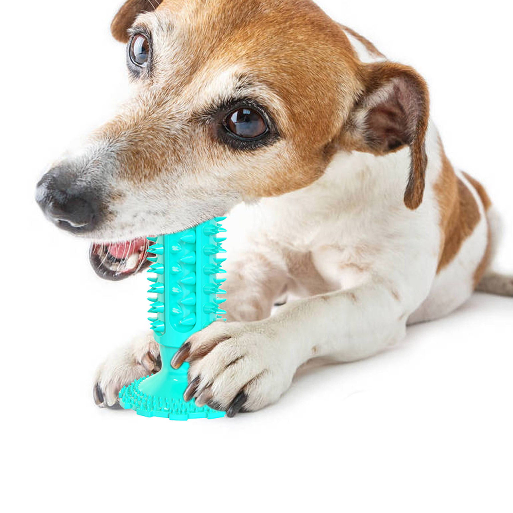 Suction Cup Sound Dog Toy Bite Resistant Molar Stick Dog Toothbrush Pet Supplies — image 1