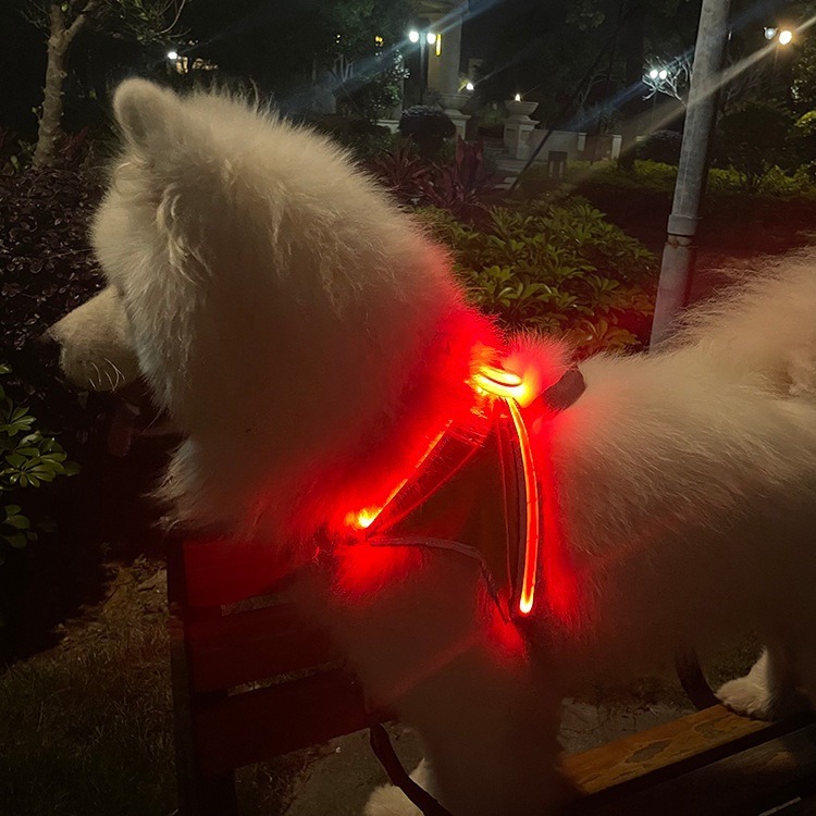 LED Pet Light-Emitting Sling Detachable Dog Reflective Sling Anti-Breakaway Cat Sling USB Charging Models — image 4