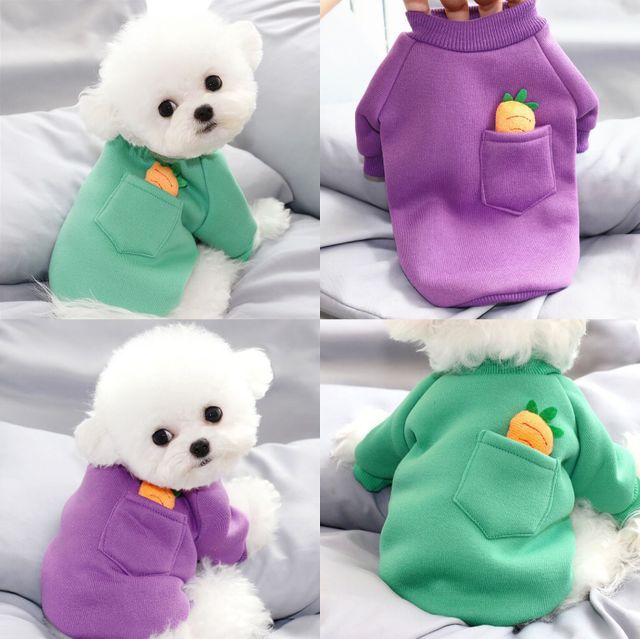 Chaquetón de Zanahoria para Perros - Vestido Cálido para Canes Pequeños — imagen 1