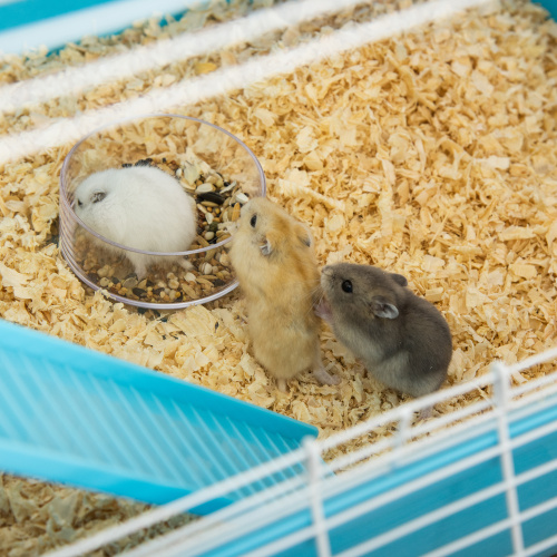 Oversized 23 Hamster Cage With Tube And Tunnel, Portable Carrying Handle — image 7