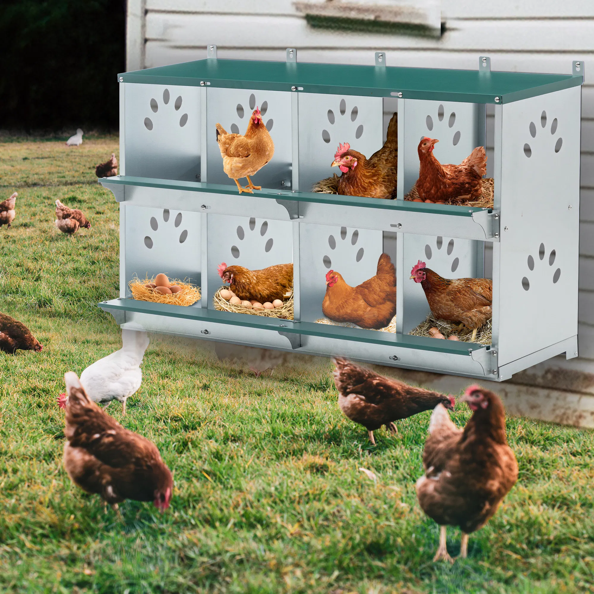 8 Room Metal Chicken Nesting Boxes 8 Compartment Egg Coop — image 2