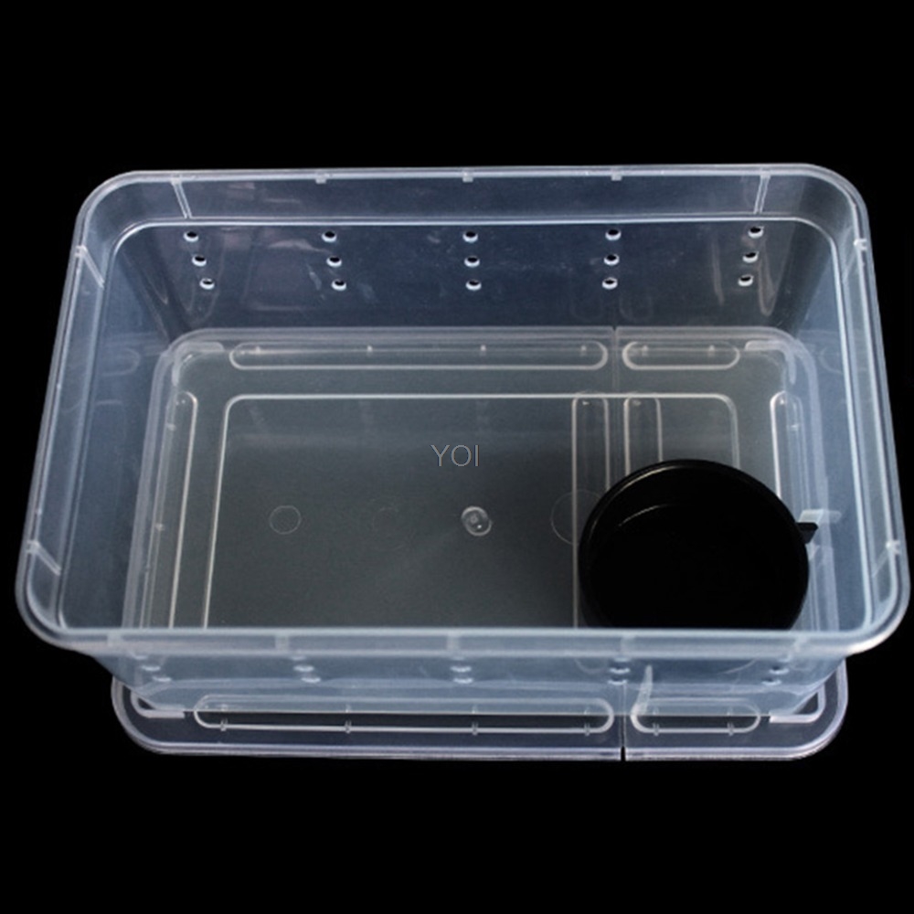 Caja de alimentación transparente para réptiles en plástico — imagen 5