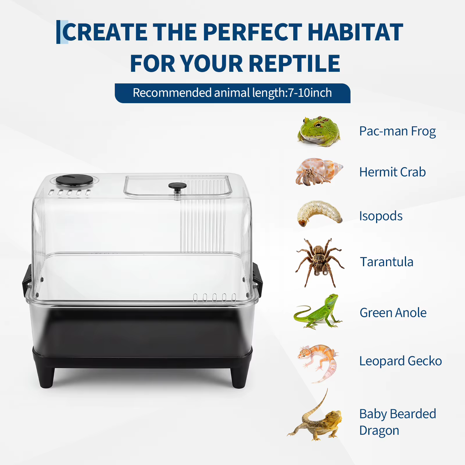 Reptile Tank Starter Kit, Reptile Terrarium Kit, Acrylic Small Reptile Habitat with Lid, Heating Pad, Hygrometer, Bowl, Hide, Sand for Reptiles, Tarantula, Lizards, Frogs, Geckos, or Hermit Crabs — image 5
