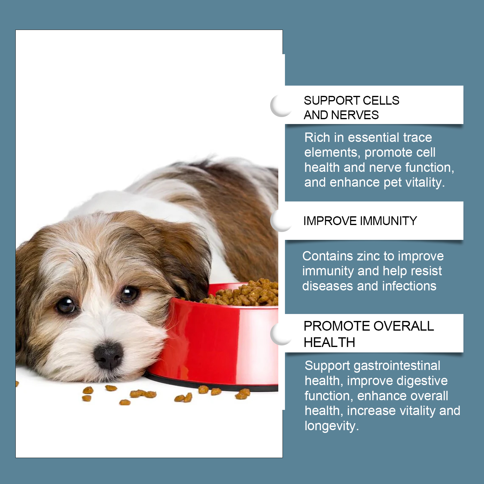 Suplemento Mineral para Perros en Tabletas, 80 Tabletas Chupables de Minerales para Pica, Apetito y Salud Ósea Humano Grado — imagen 6
