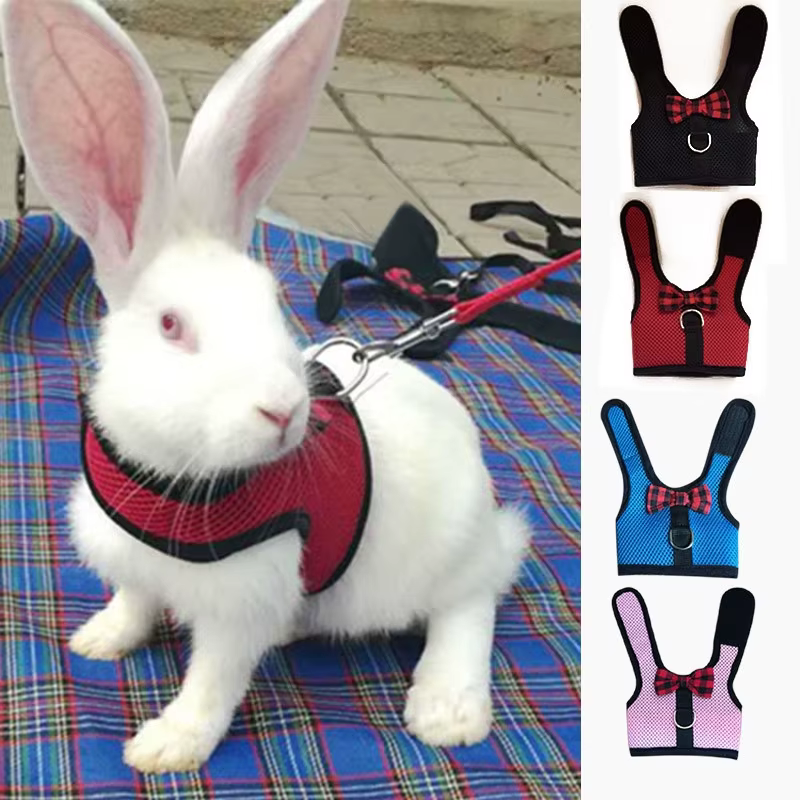 Rabbits Hamster Vest Harness With Leas Bunny Mesh Chest Strap Harnesses Ferret Guinea Pig Small Animals Pet Accessories S/M/L 4 — image 1