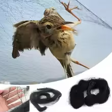 Anti Bird Catcher Netting Pond Net Fishing Net Traps Crops Fruit Tree Vegetables Flower Garden Mesh Protect Pest Control Tools — image 3
