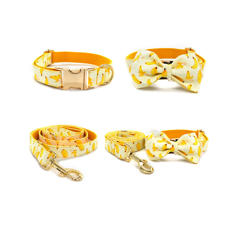 Collar de Trazo Amarillo para Perros con Cuerda de 1.5m y Broche de Oro Personalizable — imagen 7