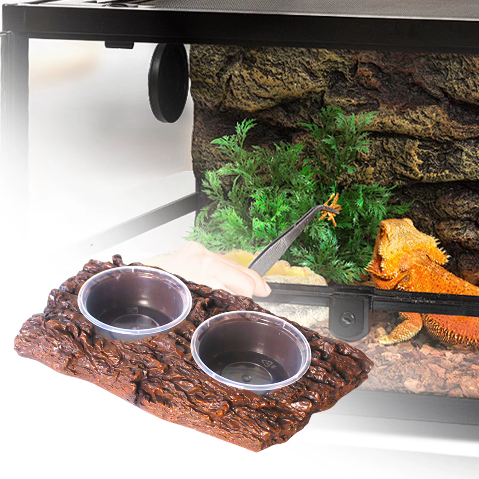 Bol de Alimentación y Agua para Reptiles - Comida y Bebedero para Lagartos, Serpientes, Tortugas y Anfibios — imagen 4