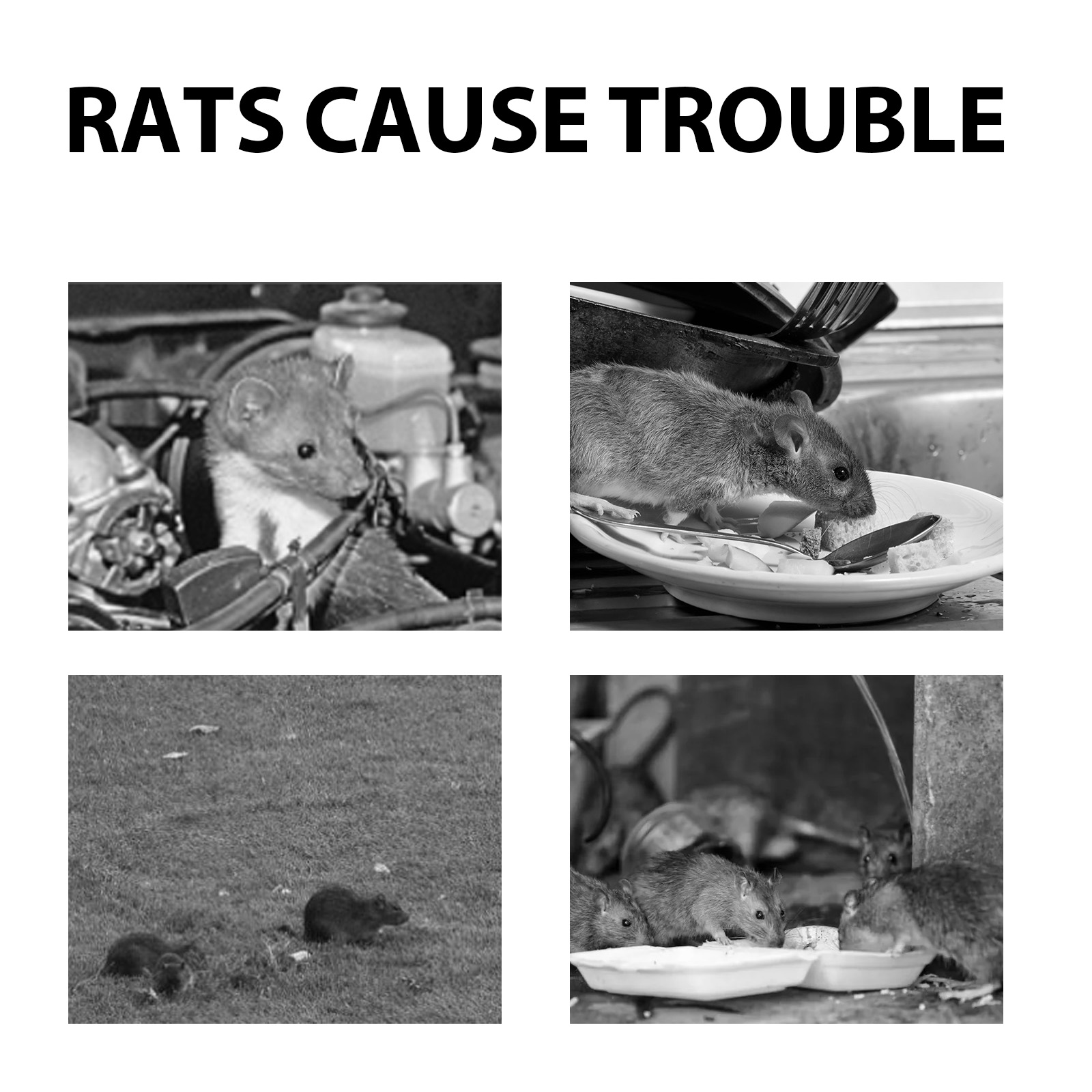Mouse Repeller, Car Engine Outdoor Home Indoor Mouse Repellent Mouse Repellent Pill — image 6