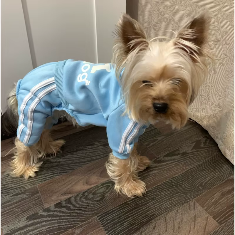 Traje de deporte para perros con capucha - Chaquetas y overoles para pequeños perros — imagen 4