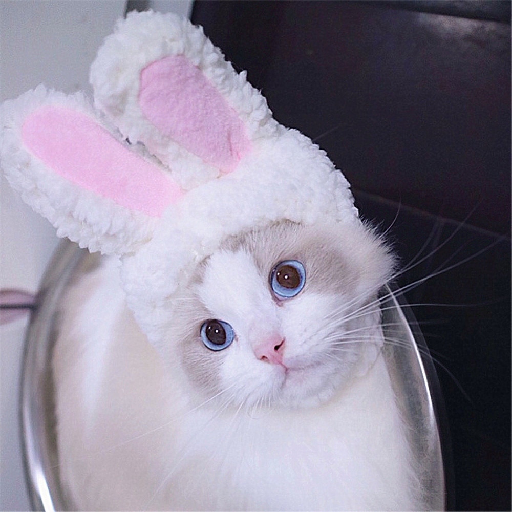 Capa de Pascua Divertida y Adorable: Sombrero Conejo con Orejas para Gatos y Perros Pequeños, Accesorio de Disfraz para Mascotas, Foto de Cumpleaños — imagen 3