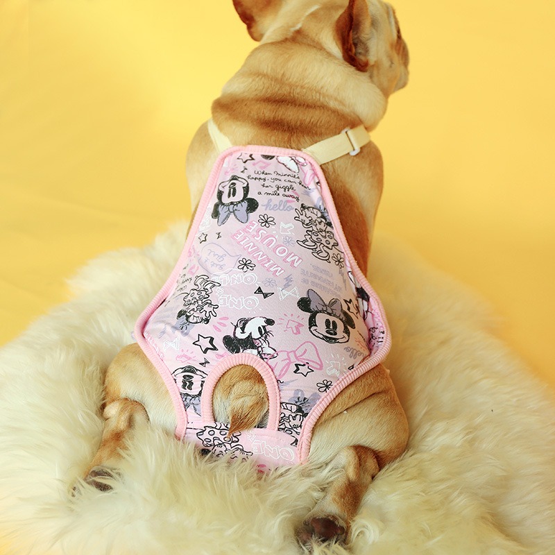 Pantalones Fisiológicos para Perros - Talla XS — imagen 1