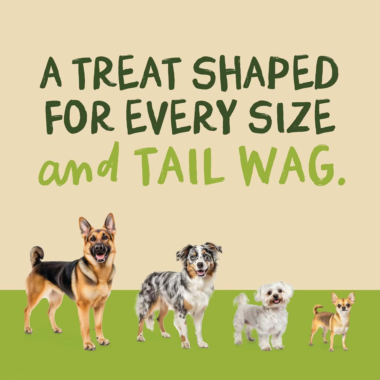Cecina de Res para Perros, Envolturas de Proteína Cruda de Calidad Premium para Perros, Premios de Entrenamiento en Bocados y Aderezo para Comida, Apto para Gatos — imagen 6