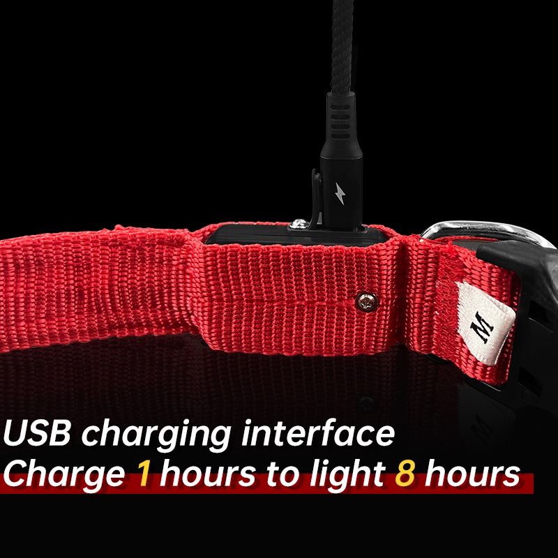 Collar LED Luminoso para Perros Impermeable Caminata Nocturna Cinturón de Luz USB Recargable — imagen 5