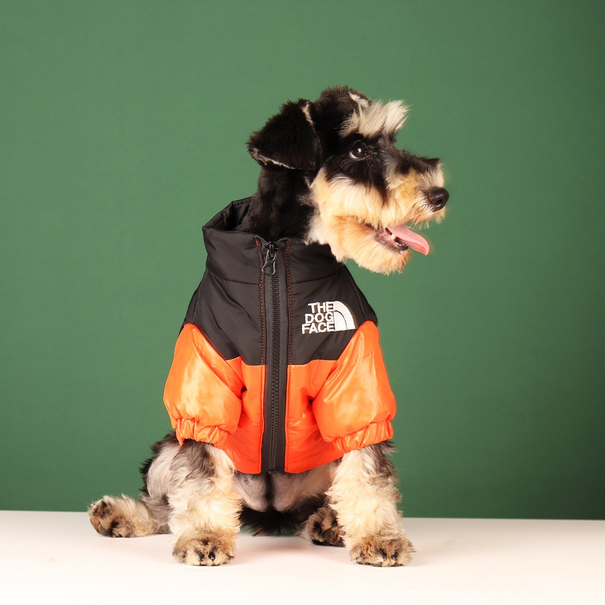 New Pet Warmth DOG FACE Cotton Shirt Small and Medium Dog Fashion Coat Embroidered Coat Dog Cat Clothes — image 2