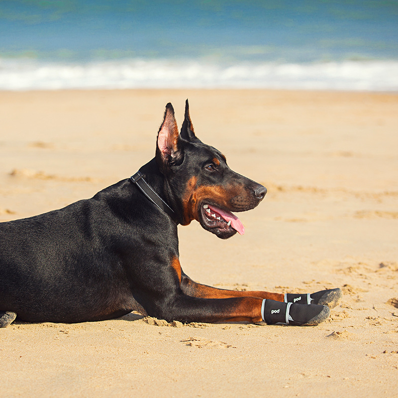 Zapatillas deportivas para mascotas - Botas impermeables al aire libre con tirantes anti-deslizamiento y reflejos — imagen 3