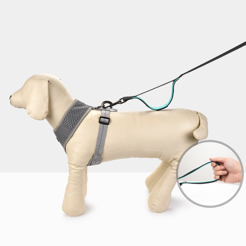 Cuerda para Perros Grande y Mediano Manija doble Reflejos Elástica Cuerda de Explosión Roja Suministros para Mascotas — imagen 3