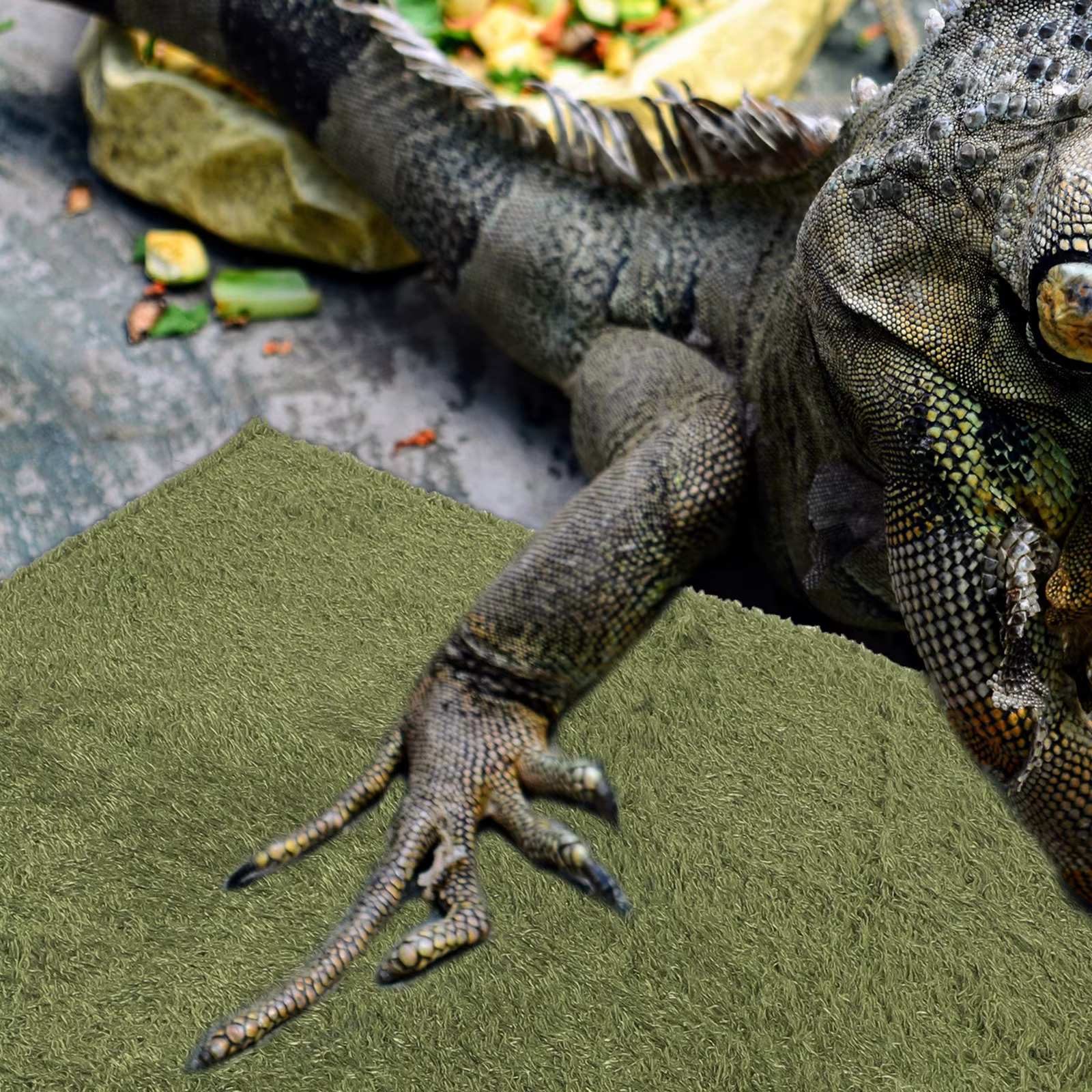 Reptile Carpet Mat Terrarium Bedding Imitation Grass Dry Breathable Reusable Snake Substrate Turtle Lizard Carpet Pet Supplies — image 4
