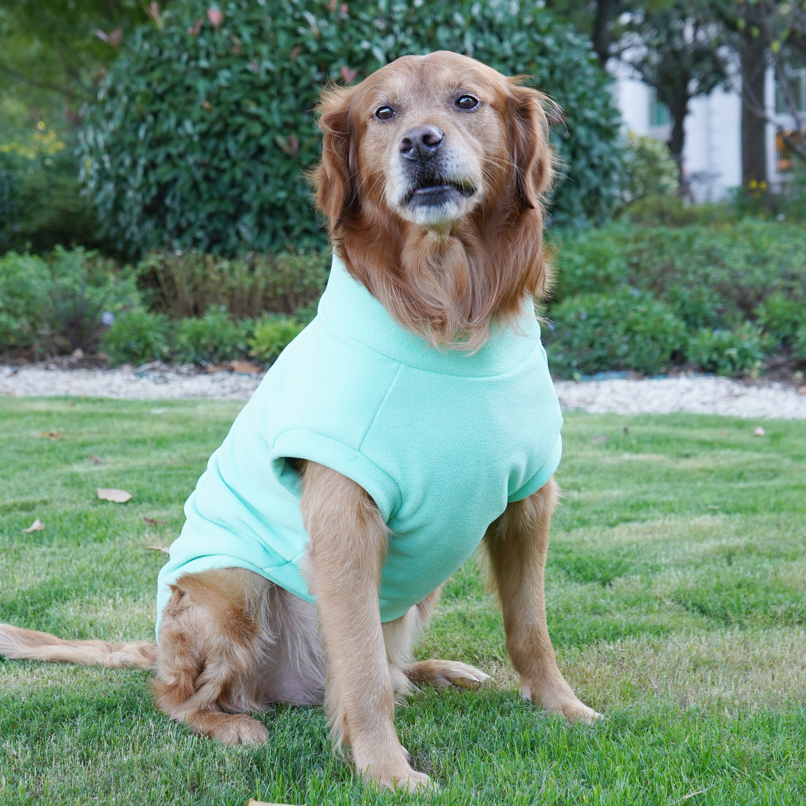 Ropa de Perro Labrador y Golden Retriever para Gran Raza, Vestimenta Caliente para Invierno — imagen 3