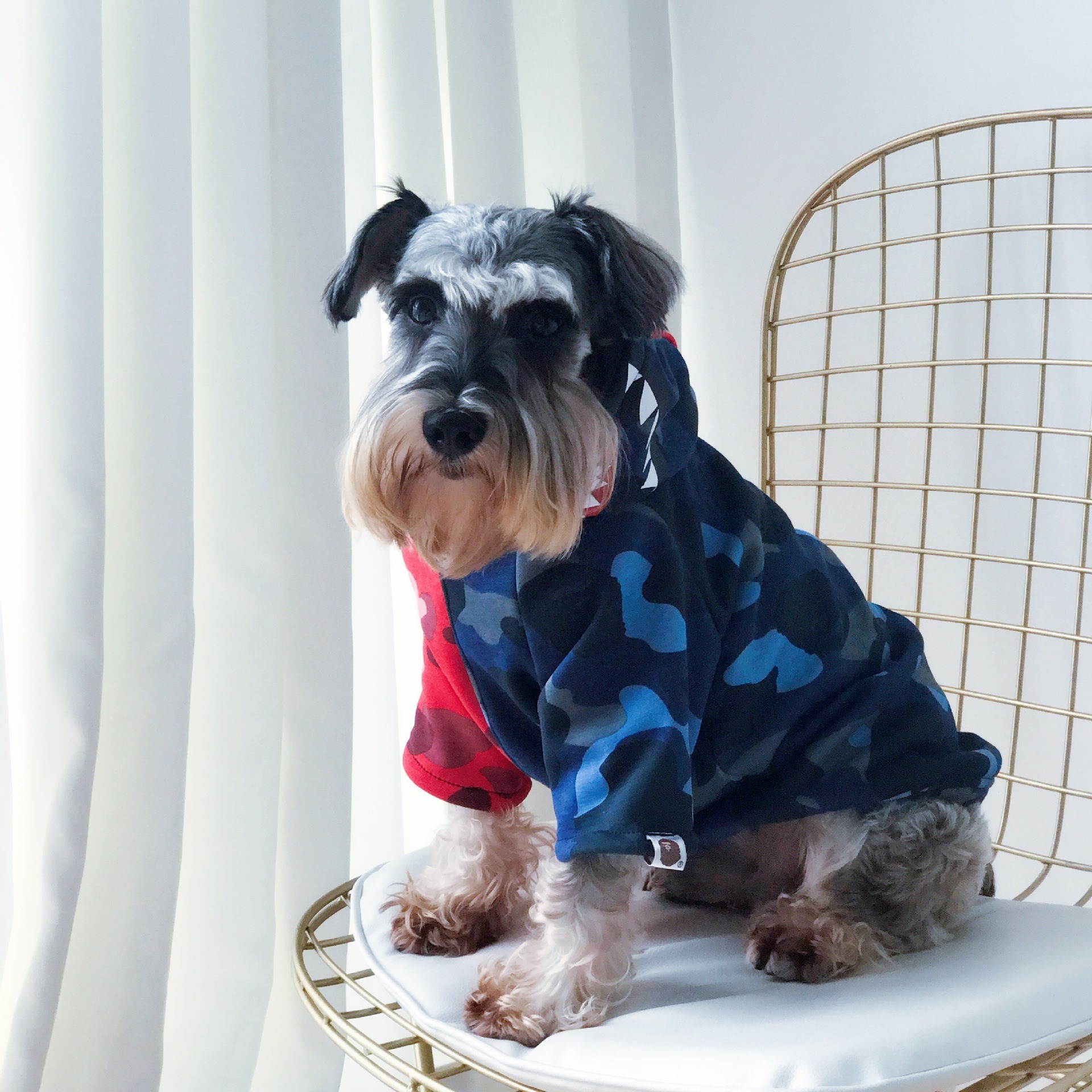 Chaquetas de invierno para mascotas: Pet Tide para perros y gatos con estampados otoño-invierno — imagen 4