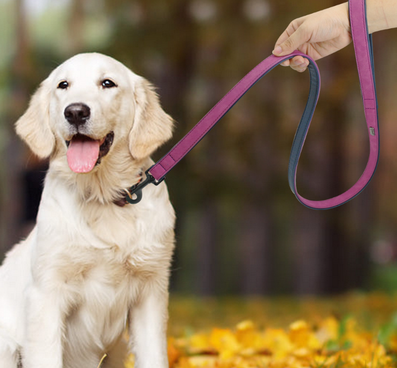 Cuerda para Perros Resistente al Tira con Productos de Cuero — imagen 3